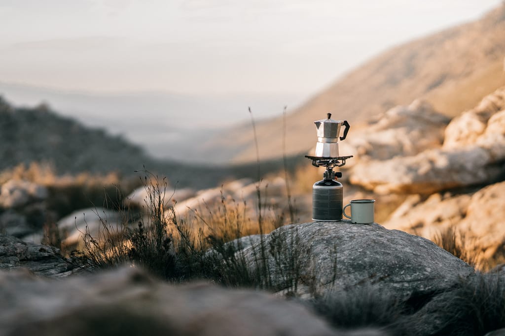 photo of a percolator perched on a rock with a blurred mountain background. 