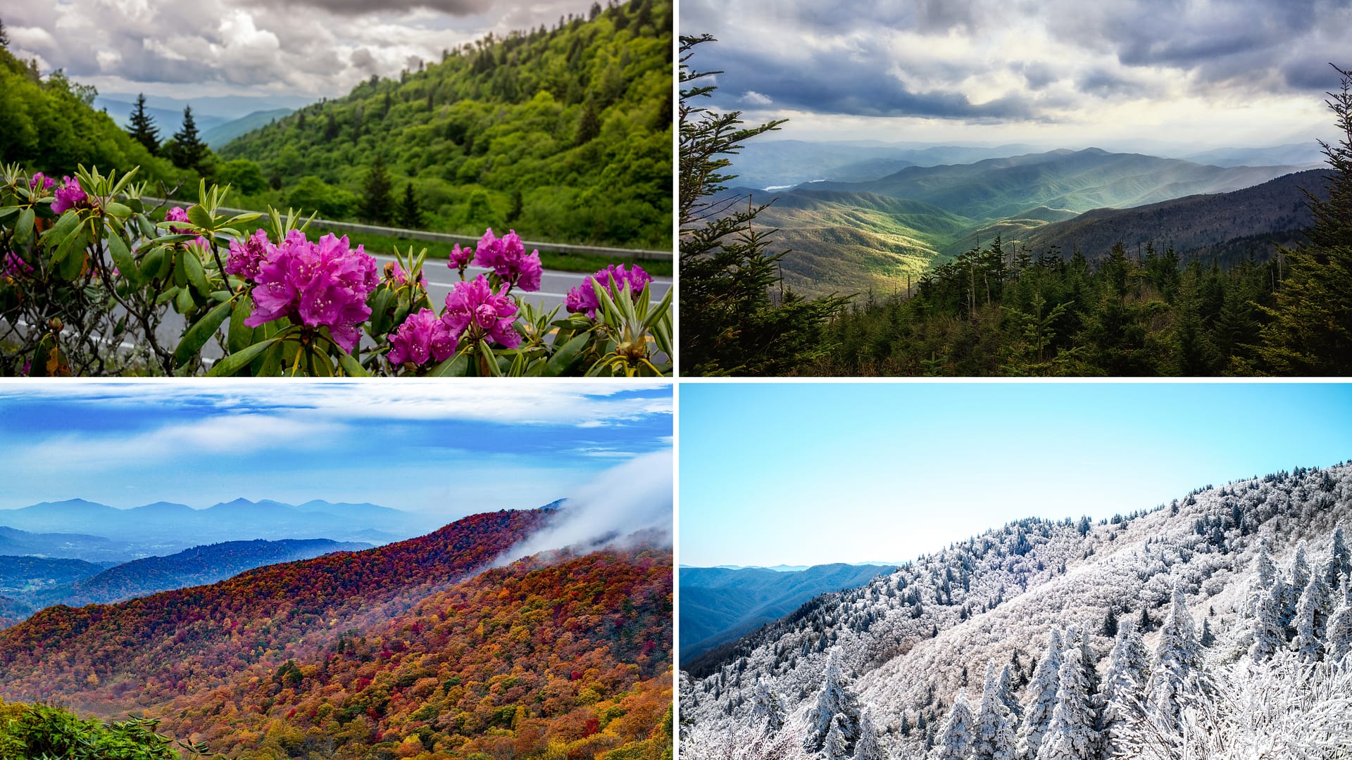 a photo collage showing the four season in the mountains